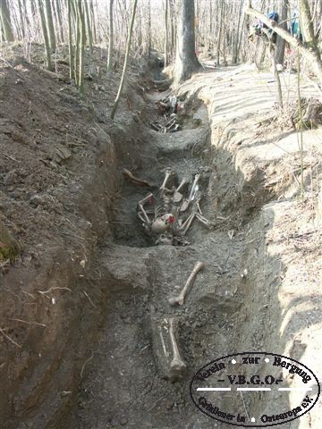 in einem Schüztengraben werden 5 sowjetische Soldaten geborgen. 