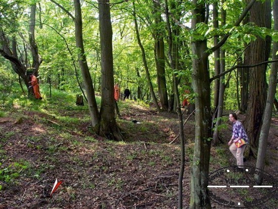 Das durch Wald berwachsene ehemalige Grabensystem