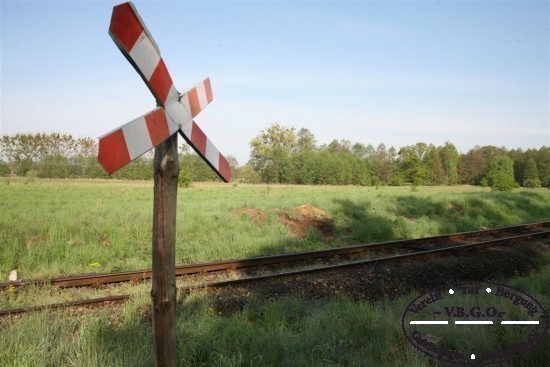 Die geplnderte Grablage im Bahndamm 