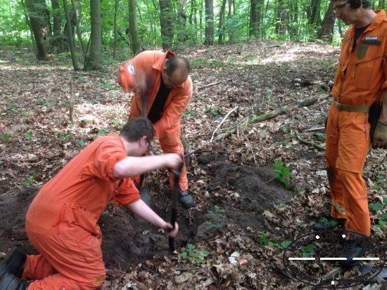 Das durch die Zeitzeugin angegebene Waldgrundstck wird durch die Suchgruppe systematisch abgesucht.