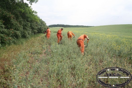 Die provisorische Grablage auf den Rapsfeld wird vorab berprft.