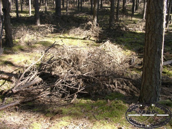 In einer sehr hnlich anmutenden Landschaft in der Region Spree Neie ist die Orientierung auch fr Zeitzeugen nicht einfach.