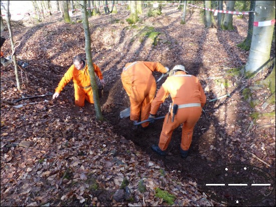 Das Grabungsteam legt den Befund frei