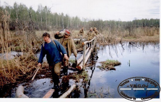 Endlose Sumpfgebiete in der Gegend um Demjansk_Mai 1992