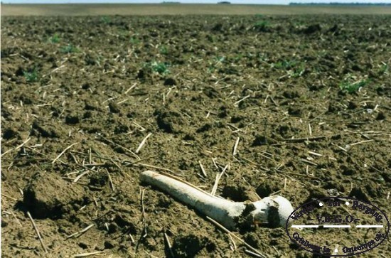 nach ber 50 Jahren - Vergessen auf einem Kolchosfeld